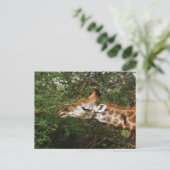 Giraffe Briefkaart (Staand voorkant)