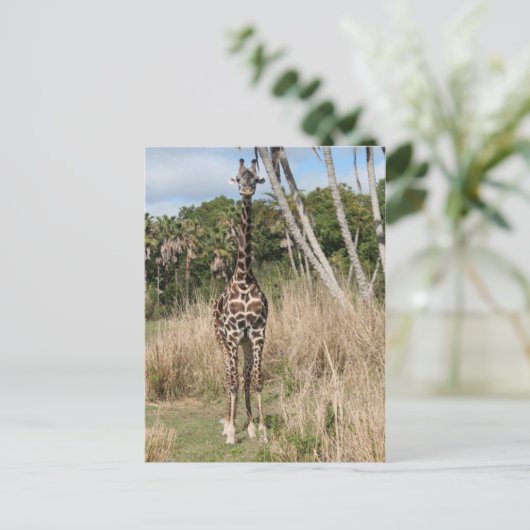 Giraffe Briefkaart (Staand voorkant)