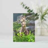 Giraffe Briefkaart (Staand voorkant)