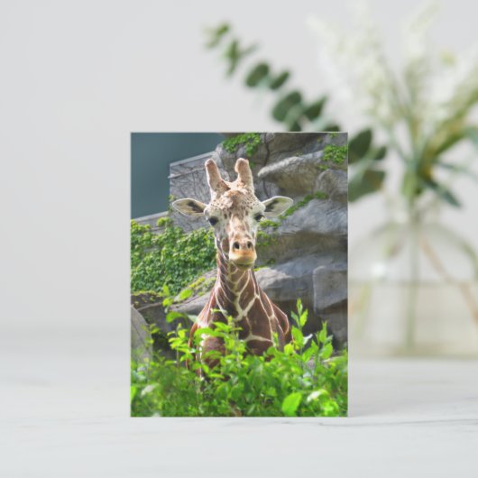 Giraffe Briefkaart (Staand voorkant)