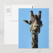 GIRAFFE BRIEFKAART (Voorkant / Achterkant)