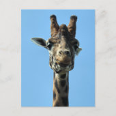 GIRAFFE BRIEFKAART (Voorkant)