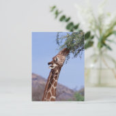 Giraffe Briefkaart (Staand voorkant)
