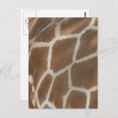 Giraffe Briefkaart (Voorkant / Achterkant)