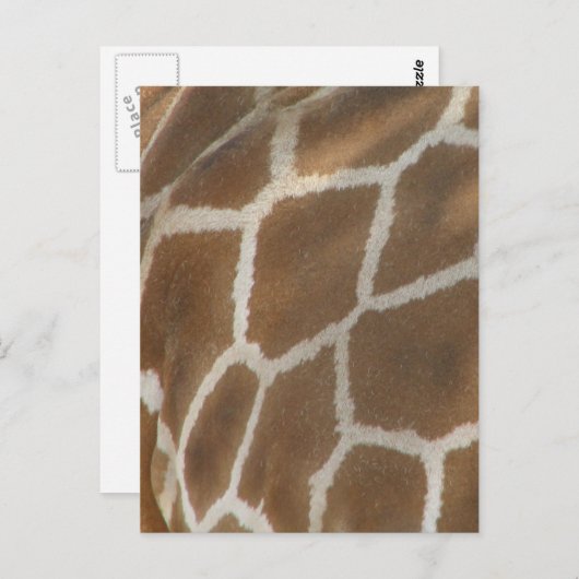 Giraffe Briefkaart (Voorkant / Achterkant)