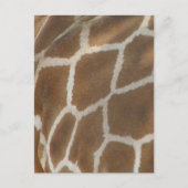 Giraffe Briefkaart (Voorkant)