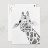 Giraffe Briefkaart (Voorkant / Achterkant)