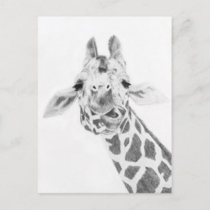 Giraffe Briefkaart