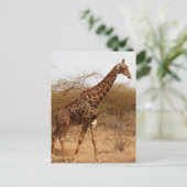 Giraffe Briefkaart (Staand voorkant)