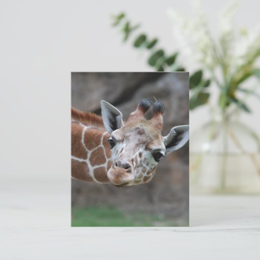Giraffe Briefkaart (Staand voorkant)