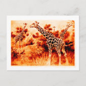 Giraffe Briefkaart (Voorkant)
