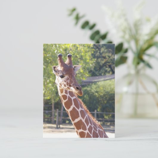 Giraffe Briefkaart (Staand voorkant)