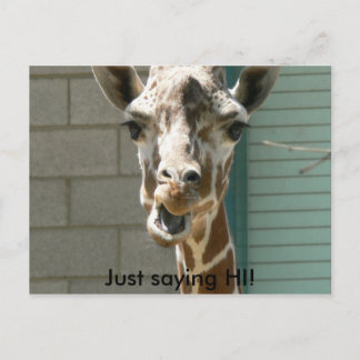 Giraffe Briefkaart