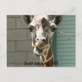 Giraffe Briefkaart (Voorkant)