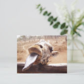 giraffe briefkaart (Staand voorkant)