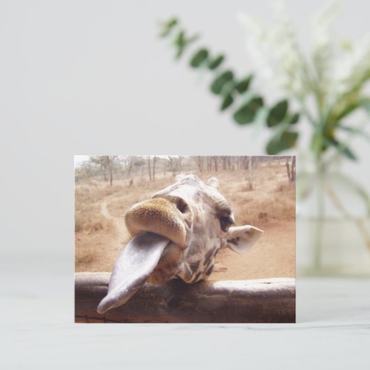 giraffe briefkaart (Staand voorkant)