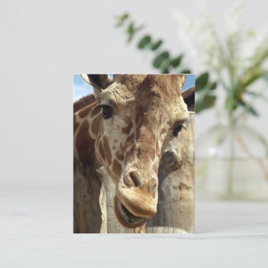 giraffe briefkaart (Staand voorkant)