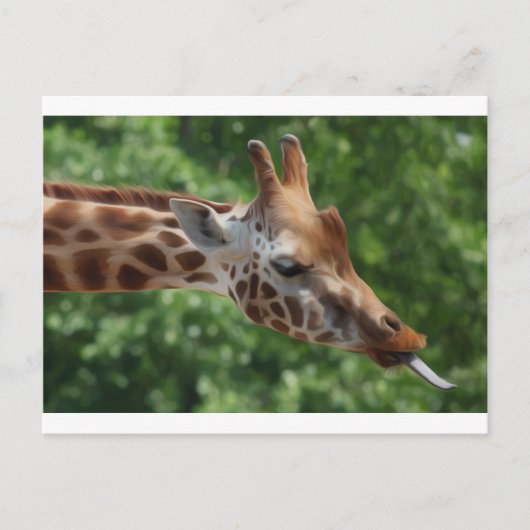Giraffe Briefkaart (Voorkant)