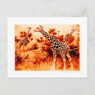 Giraffe Briefkaart