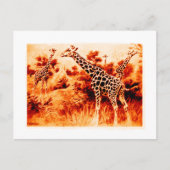Giraffe Briefkaart (Voorkant)