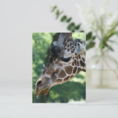 Giraffe Briefkaart (Staand voorkant)