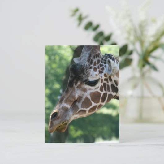 Giraffe Briefkaart (Staand voorkant)