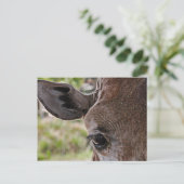 Giraffe Briefkaart (Staand voorkant)