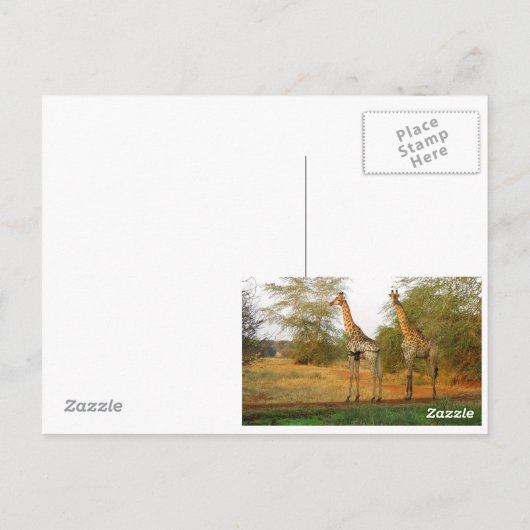 Giraffe Briefkaart (Achterkant)