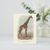 GIRAFFE BRIEFKAART (Staand voorkant)