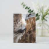 Giraffe Briefkaart (Staand voorkant)