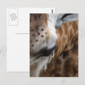 Giraffe Briefkaart (Voorkant / Achterkant)