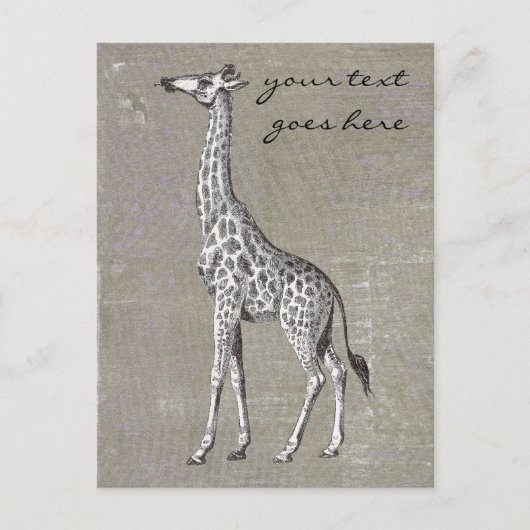  Giraffe Briefkaart (Voorkant)