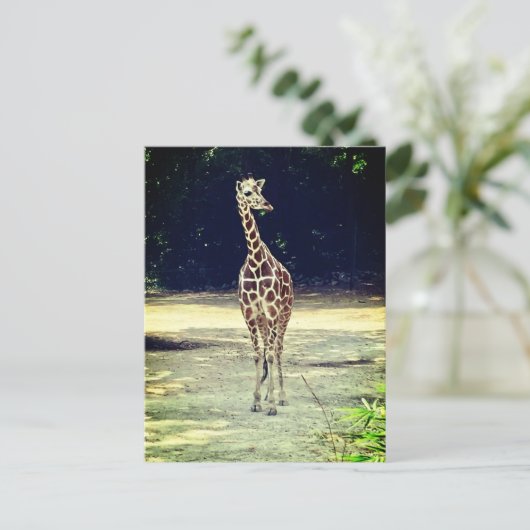 Giraffe Briefkaart (Staand voorkant)