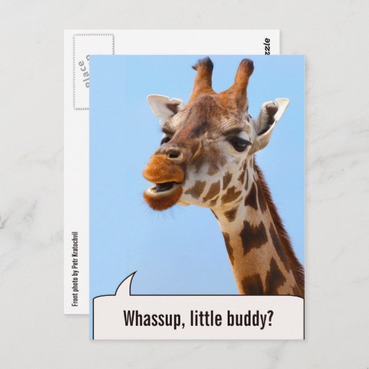 Giraffe briefkaart aangepaste tekst portret (Voorkant / Achterkant)