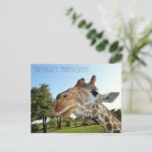 Giraffe Briefkaart / Hallo daar! (Staand voorkant)