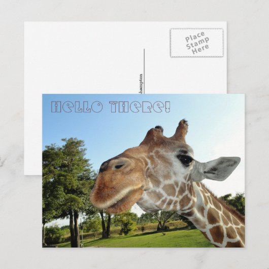 Giraffe Briefkaart / Hallo daar! (Voorkant / Achterkant)
