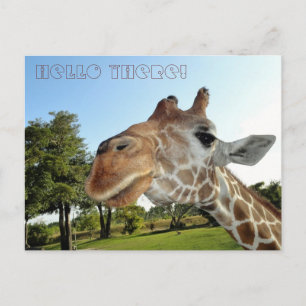 Giraffe Briefkaart / Hallo daar!