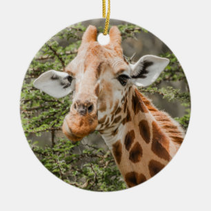 Giraffe browsen keramisch ornament