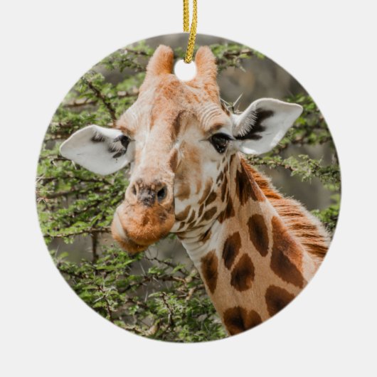 Giraffe browsen keramisch ornament (Voorkant)