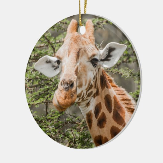 Giraffe browsen keramisch ornament (Links)