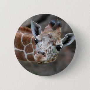 Giraffe Button