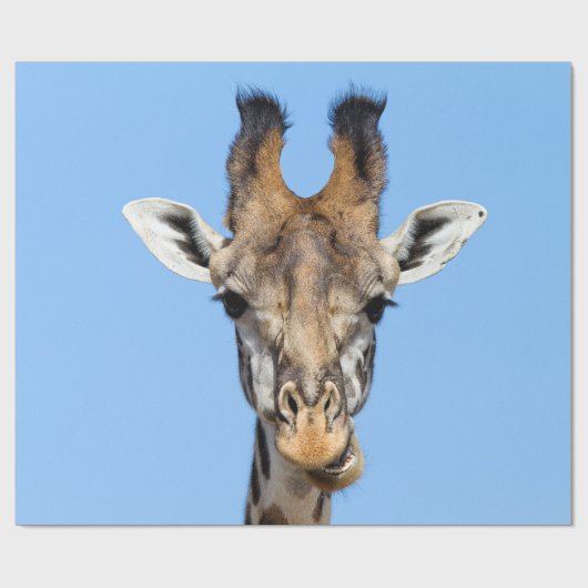 Giraffe Cadeaupapier (Vlak)