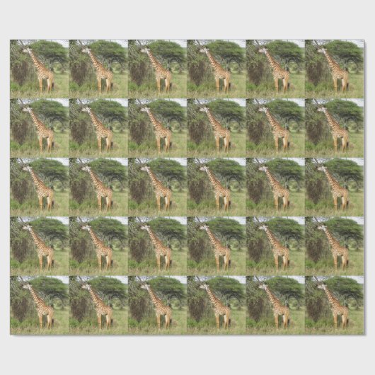 giraffe cadeaupapier (Vlak)