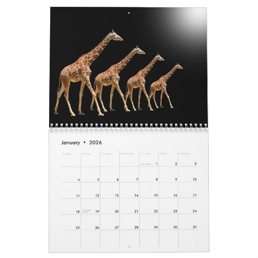 Giraffe CALENDAR Kalender (Jan 2026)