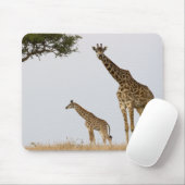 Giraffe Calf and Mama Muismat (Met muis)