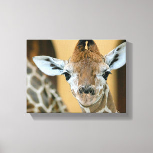 Giraffe Canvas Afdruk