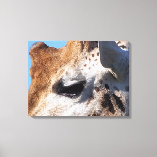 GIRAFFE CANVAS AFDRUK (Voorkant)