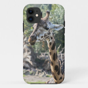 Giraffe iPhone 11 Hoesje