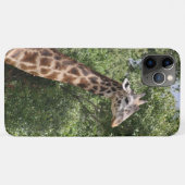giraffe Case-Mate iPhone case (Achterkant (horizontaal))
