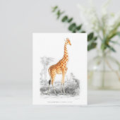 Giraffe - Charles Dessalines d'Orbigny  kunst Briefkaart (Staand voorkant)